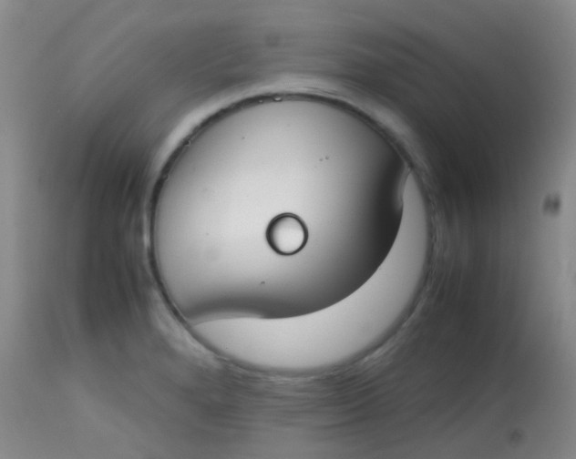 X0000113871280200910151251