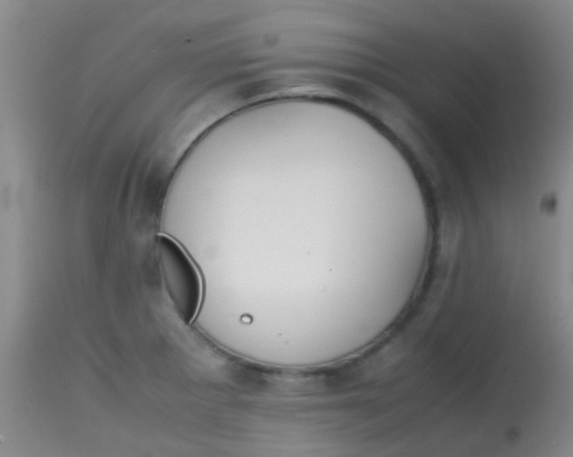 X0000113871281200910151251