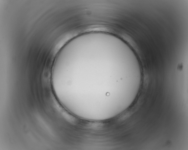 X0000113871282200910151251