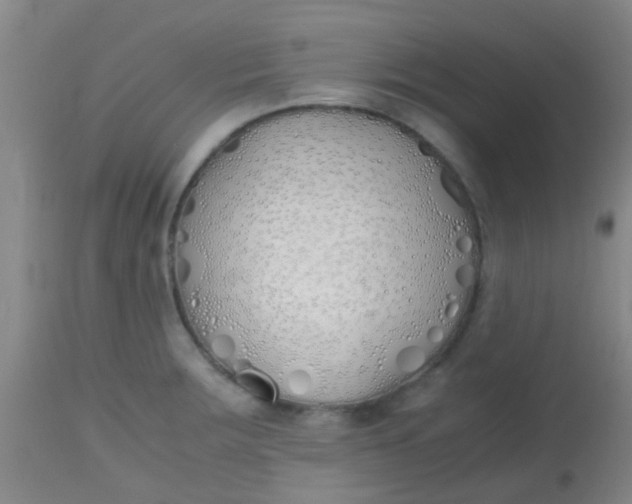 X0000113871283200910151251