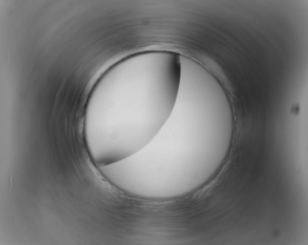 X0000113871284200910151251