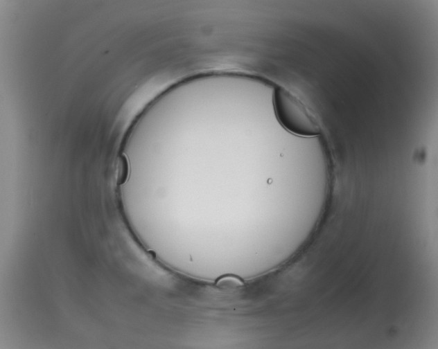 X0000113871285200910151251