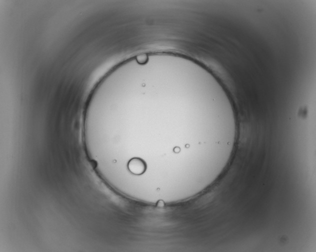 X0000113871286200910151251