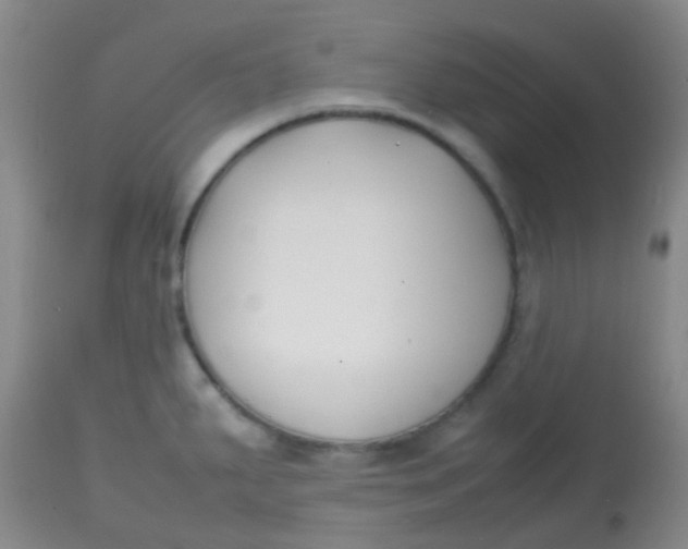 X0000113871287200910151251