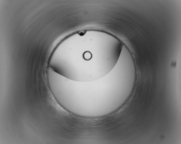 X0000113871288200910151251