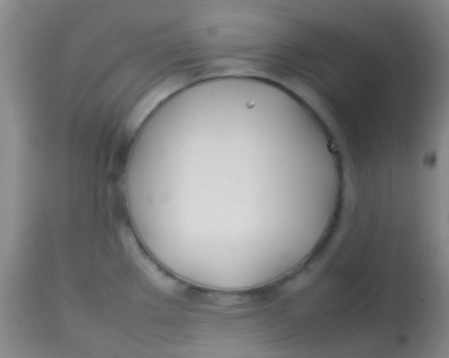 X0000113871289200910151251