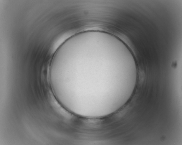 X0000113871290200910151251