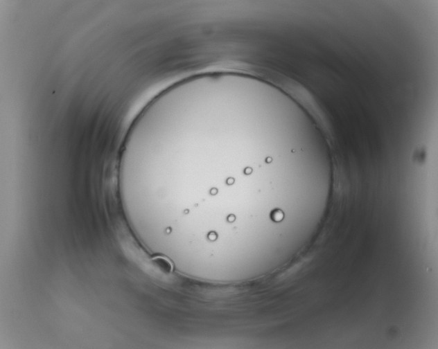 X0000113871292200910151251