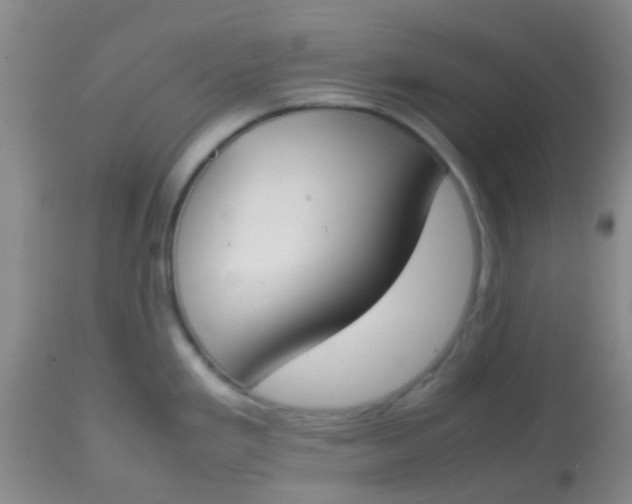 X0000113871293200910151251