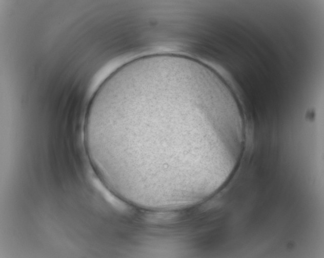 X0000113871294200910151251