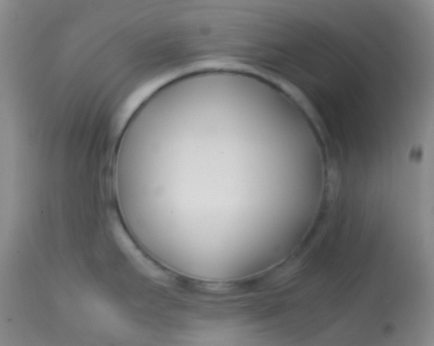 X0000113871295200910151251