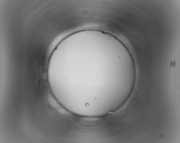 X0000113871296200910151251