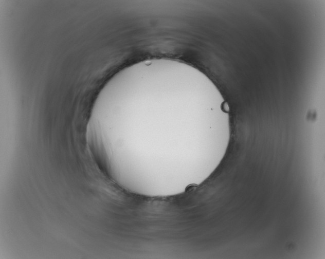 X0000113871297200910151250