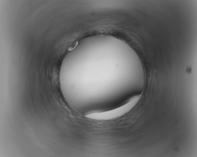 X0000113871298200910151250