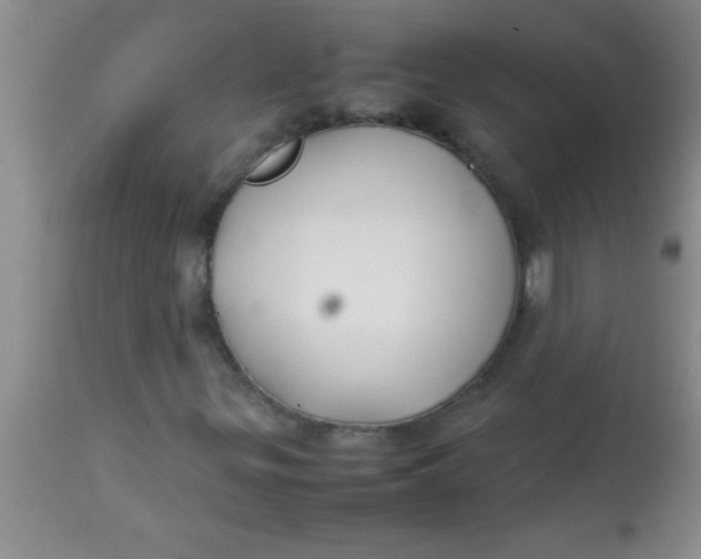 X0000113871299200910151250