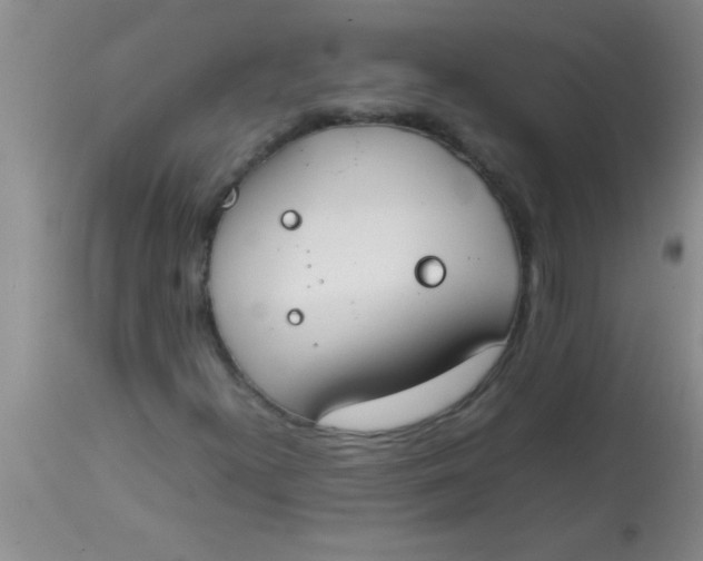 X0000113871300200910151250