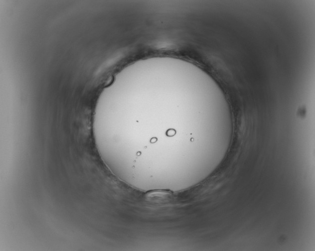 X0000113871301200910151250