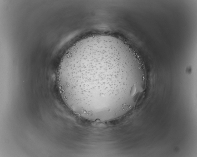 X0000113871302200910151250