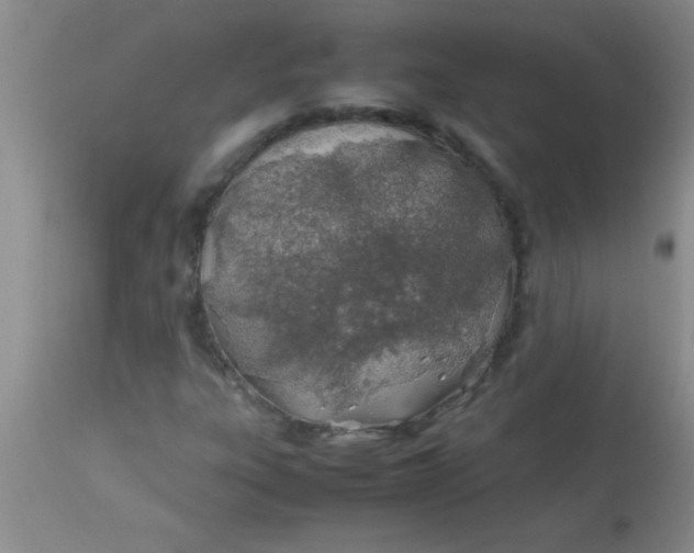 X0000113871303200910151251