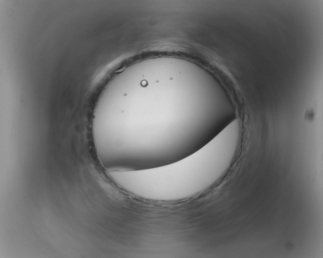 X0000113871304200910151251