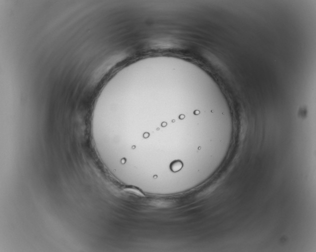 X0000113871305200910151251