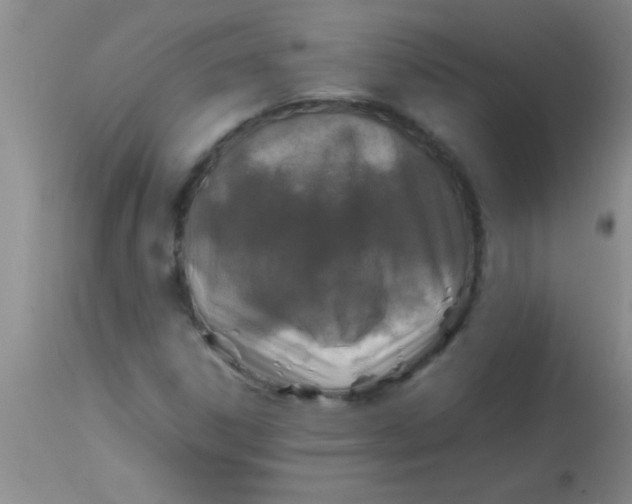 X0000113871306200910151251