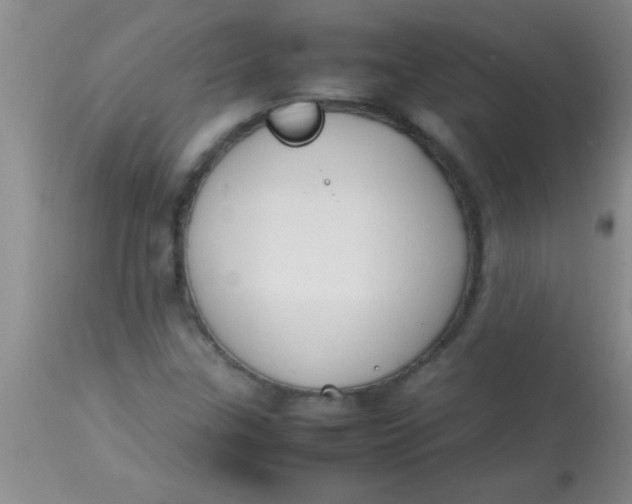 X0000113871307200910151251