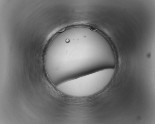 X0000113871308200910151251