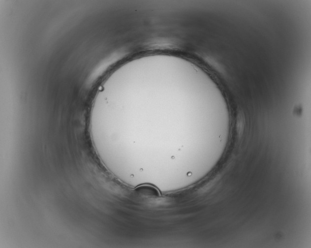 X0000113871309200910151251