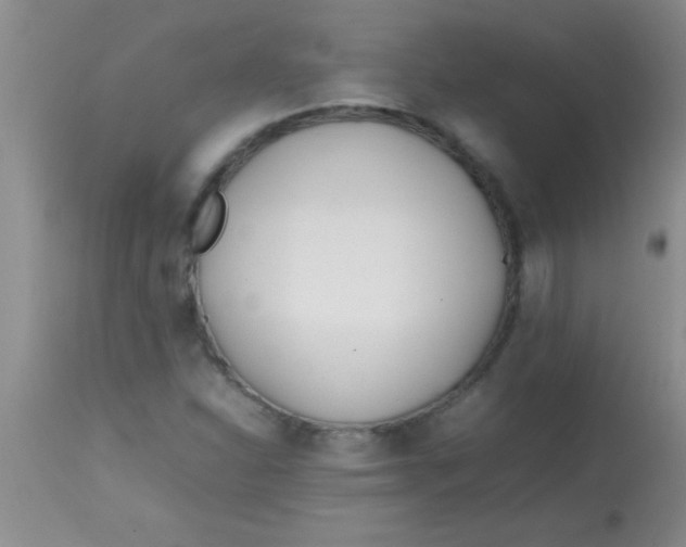 X0000113871310200910151251