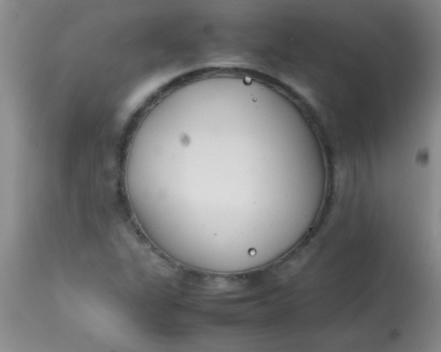 X0000113871311200910151251