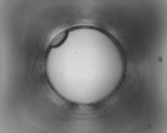 X0000113871312200910151251