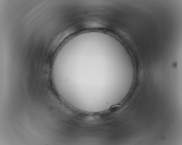 X0000113871313200910151251