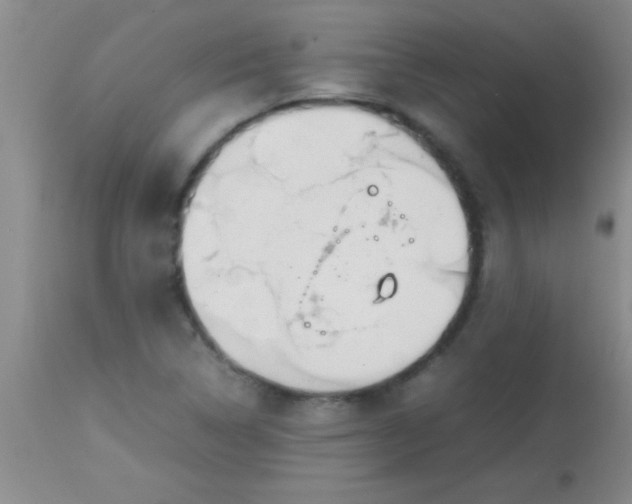 X0000113871314200910151251