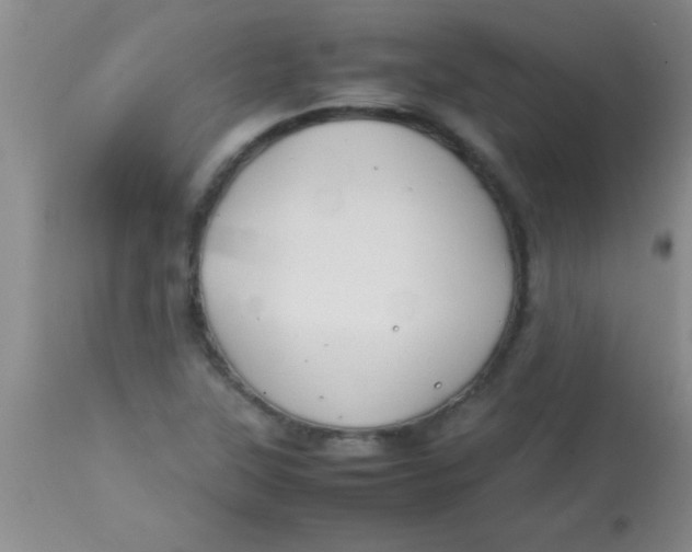 X0000113871315200910151251