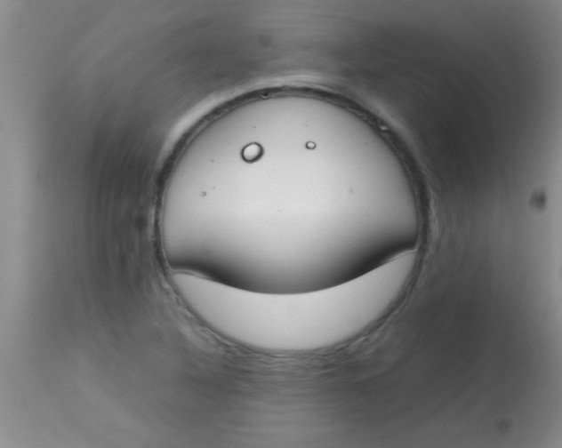 X0000113871316200910151251