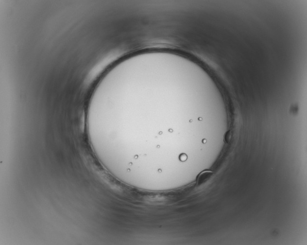 X0000113871317200910151251