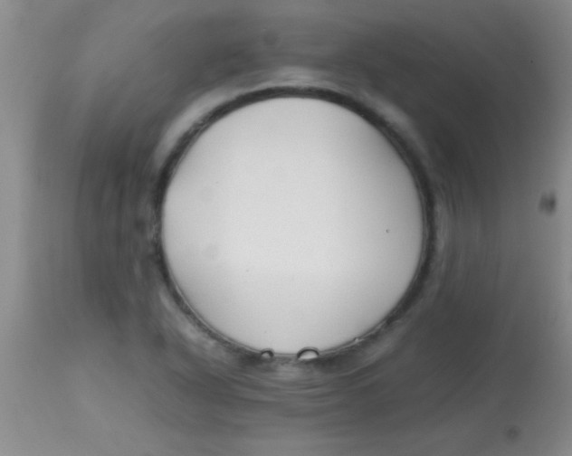 X0000113871318200910151251