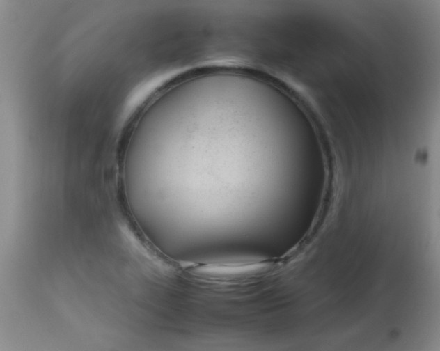 X0000113871319200910151251