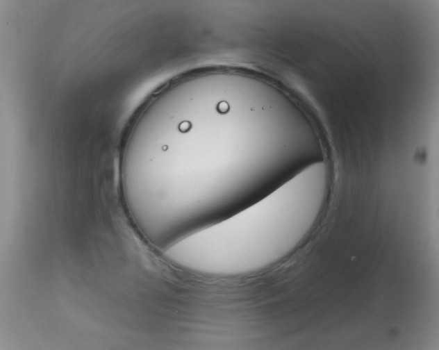 X0000113871320200910151251