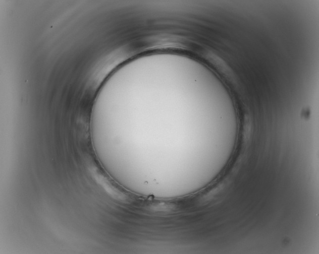 X0000113871321200910151251