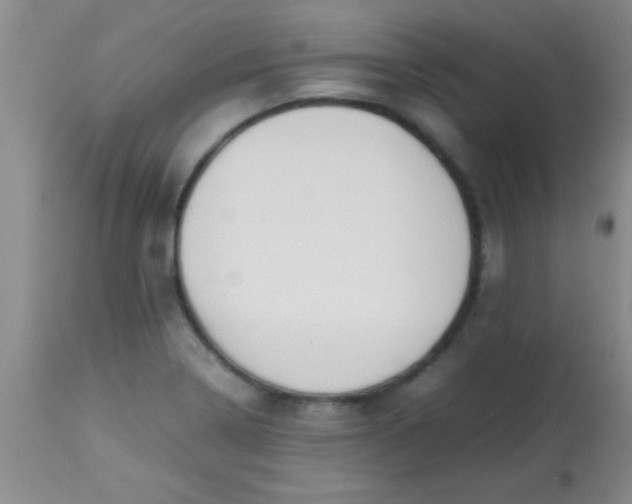 X0000113871322200910151251