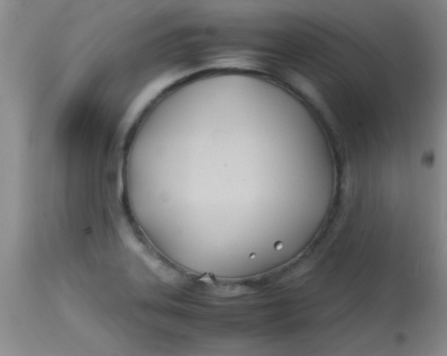 X0000113871323200910151251