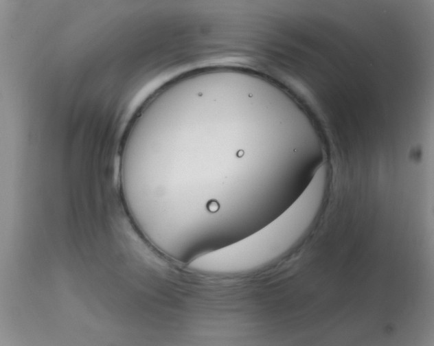 X0000113871324200910151251