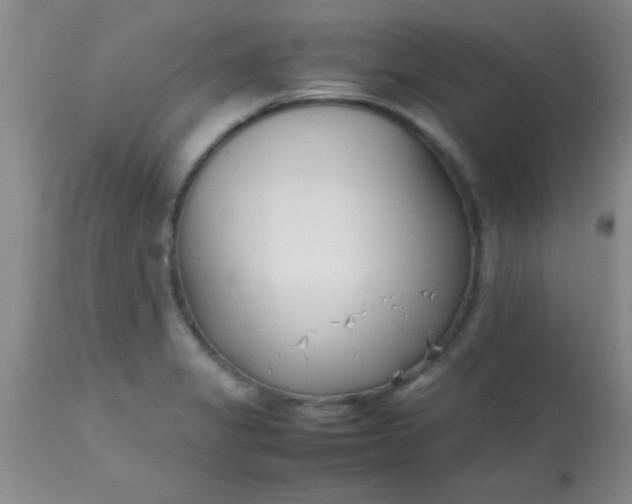 X0000113871325200910151251