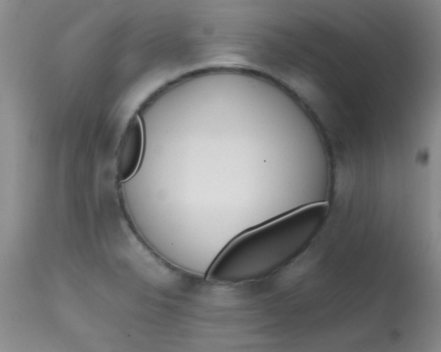 X0000113871326200910151251