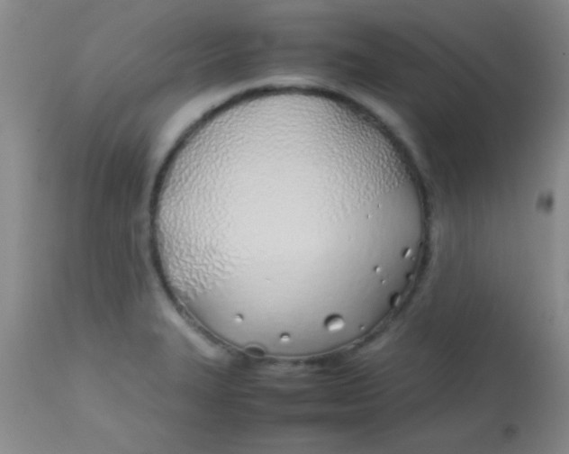 X0000113871327200910151251