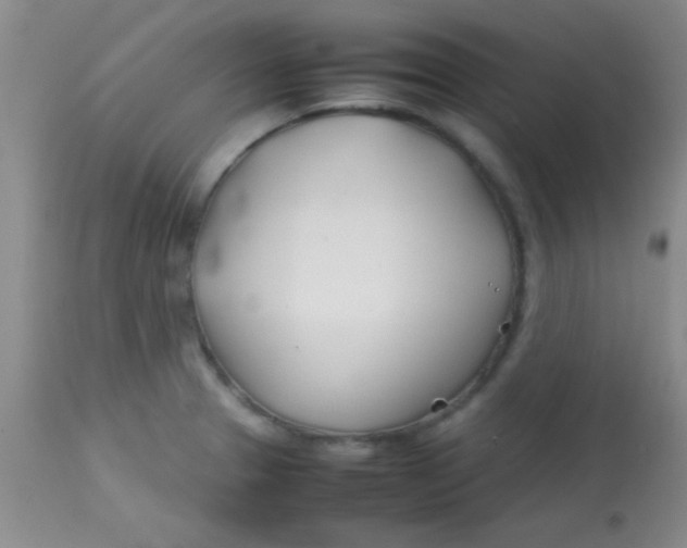 X0000113871329200910151251