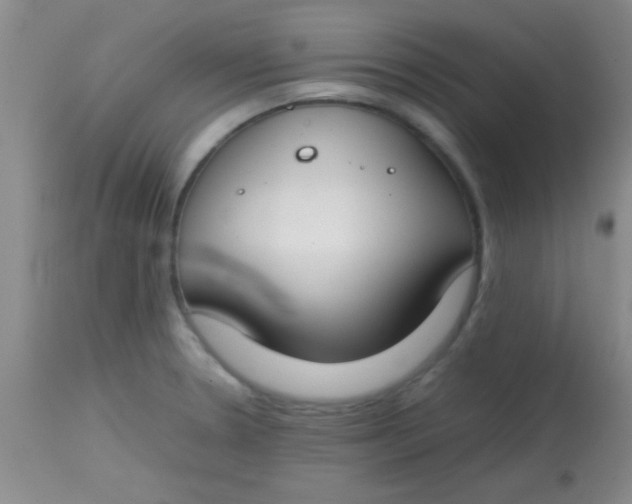 X0000113871330200910151251