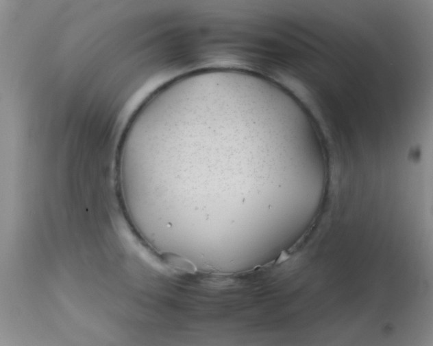 X0000113871331200910151251